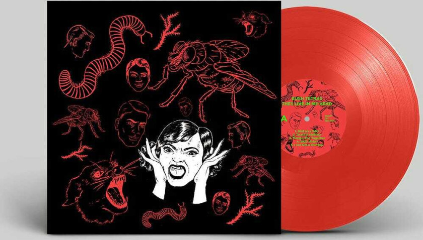 The Bush Tetras They Live In My Head LP/Vinyl