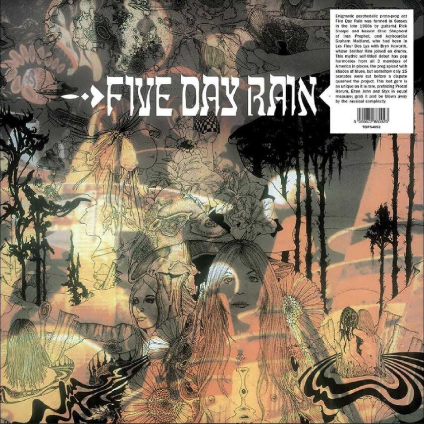 Five Day Rain Five Day Rain LP/Vinyl