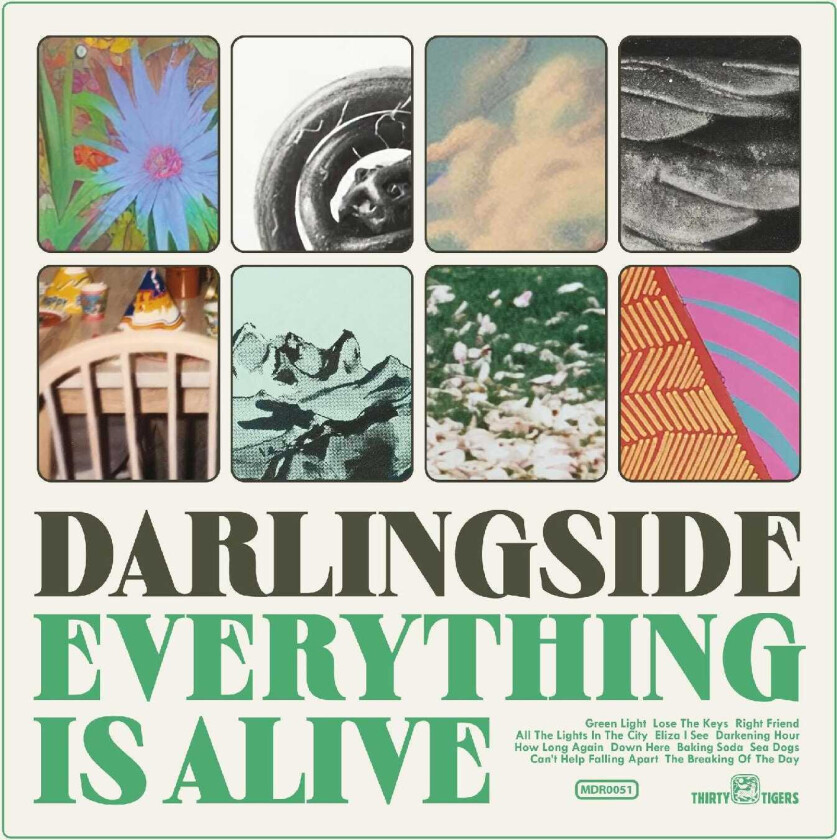 Darlingside Everything Is Alive LP/Vinyl