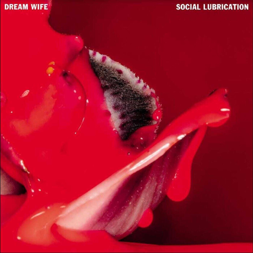 Dream Wife Social Lubrication LP/Vinyl