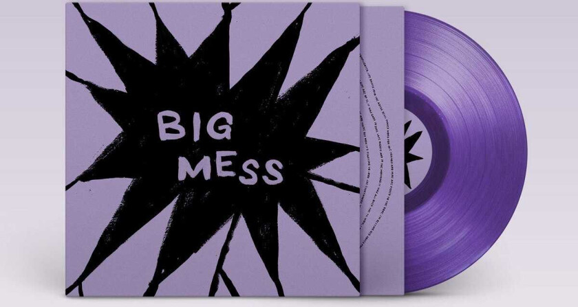 Public Body Big Mess LP/Vinyl