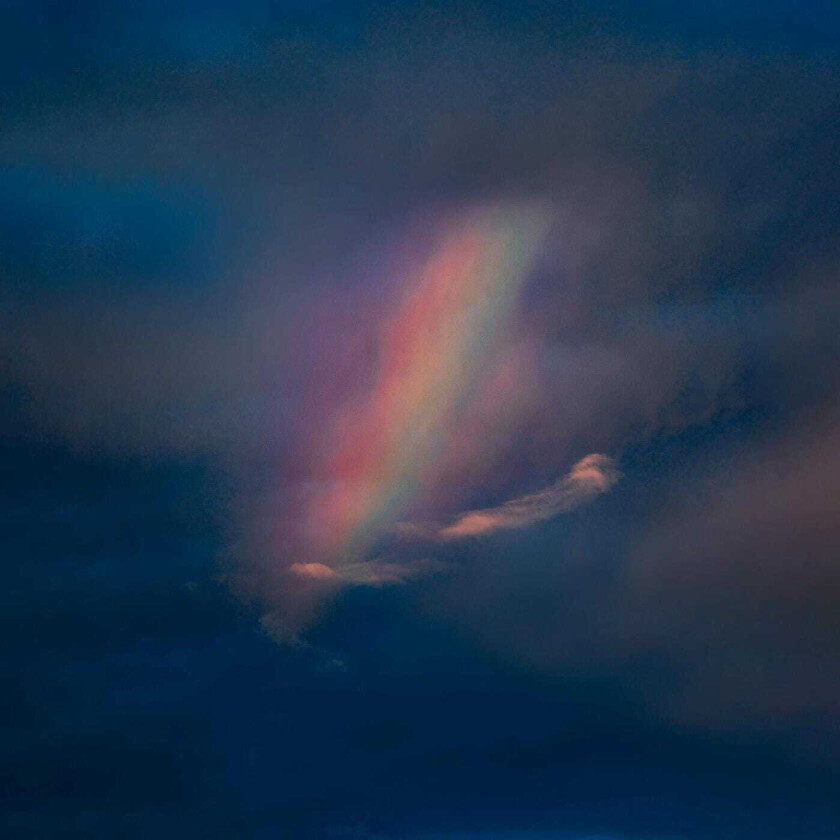 Pool Kids Pool Kids LP/Vinyl