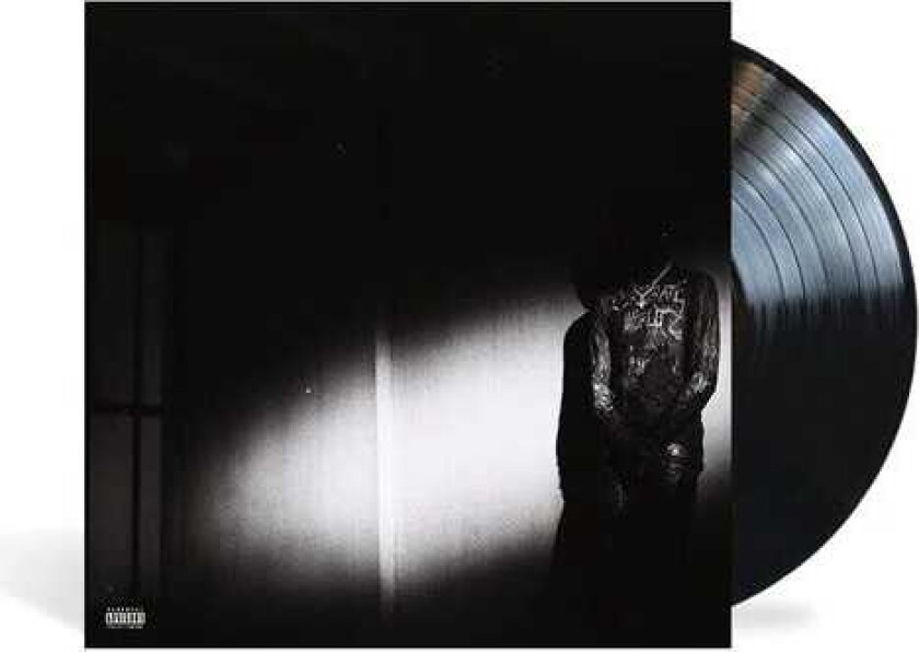 Destroy Lonely No Stylist LP/Vinyl