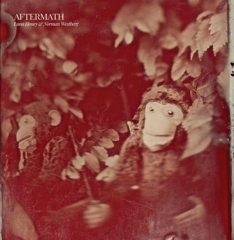 Luna Honey & Norman Westberg, Luna Honey, Norman Westberg Aftermath LP/Vinyl