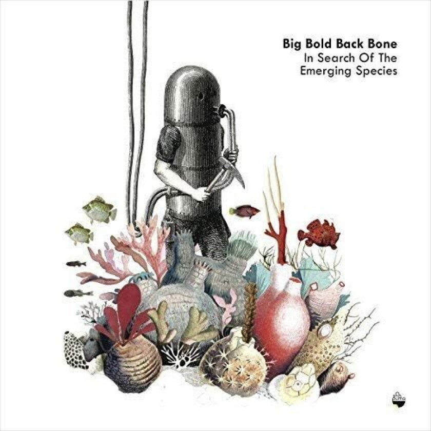 Big Bold Back Bone In Search Of The Emerging Species LP/Vinyl