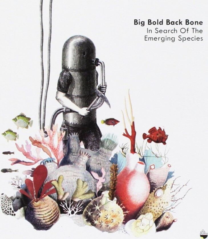 Big Bold Back Bone  In Search Of The Emerging Species  CD