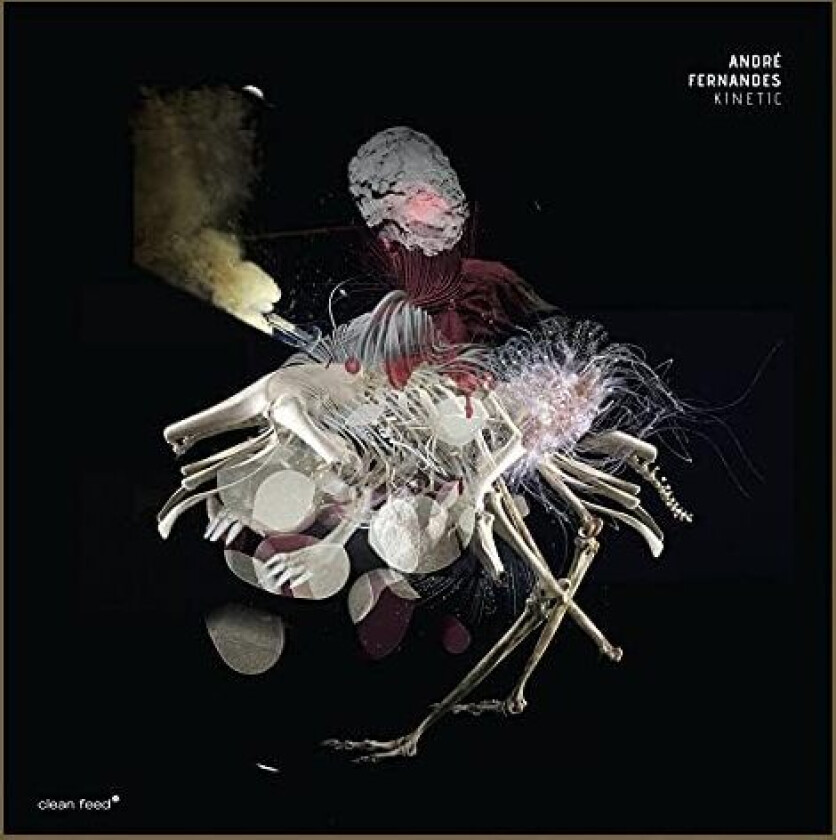 Andre Fernandes Kinetic LP/Vinyl