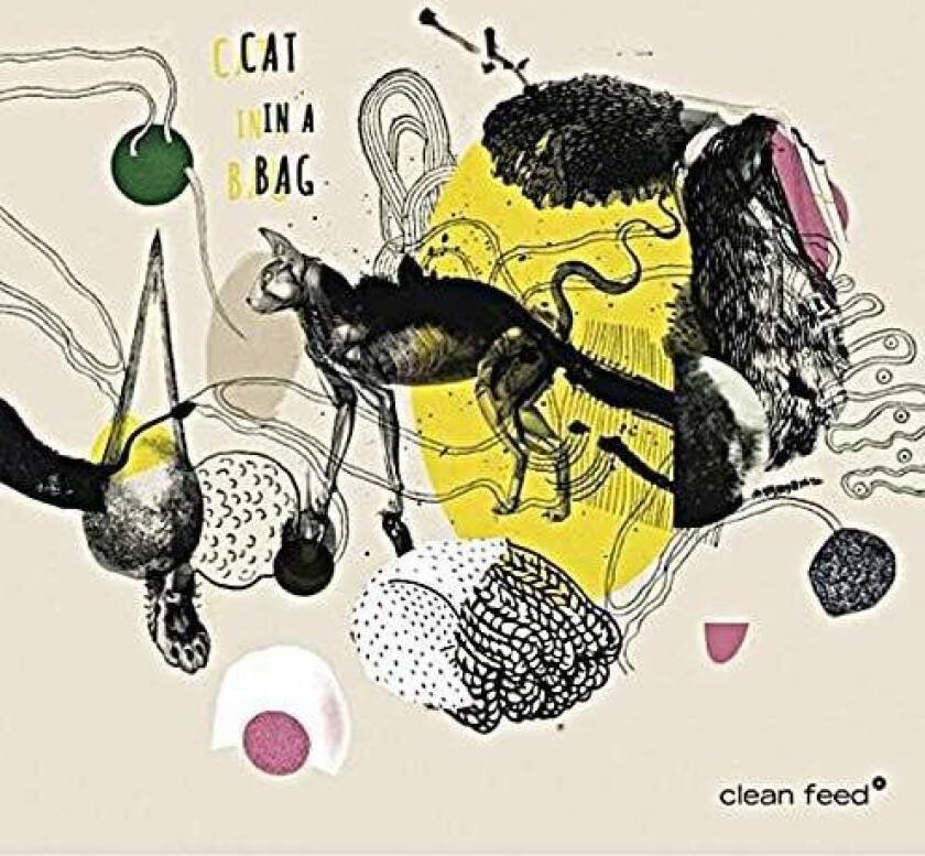 Cat In A Bag Cat In A Bag CD