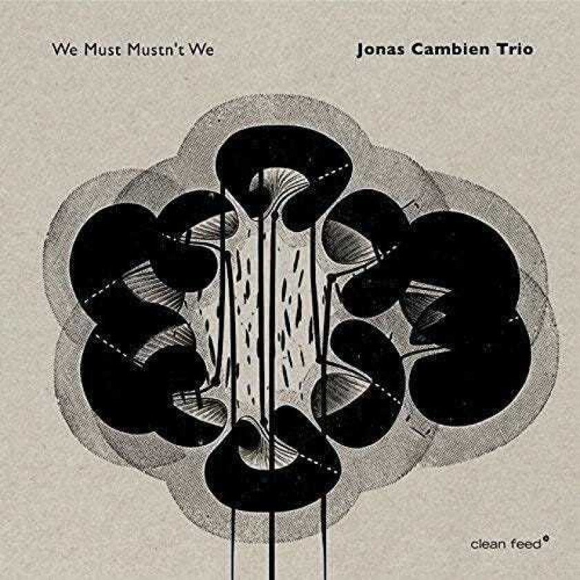 Jonas Cambien Trio We Must Mustn't We LP/Vinyl