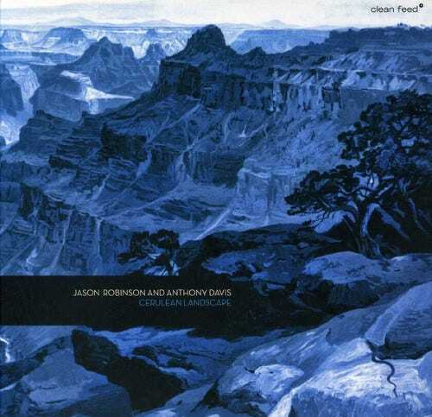 Jason Robinson, Anthony Davis  Cerulean Landscape  CD