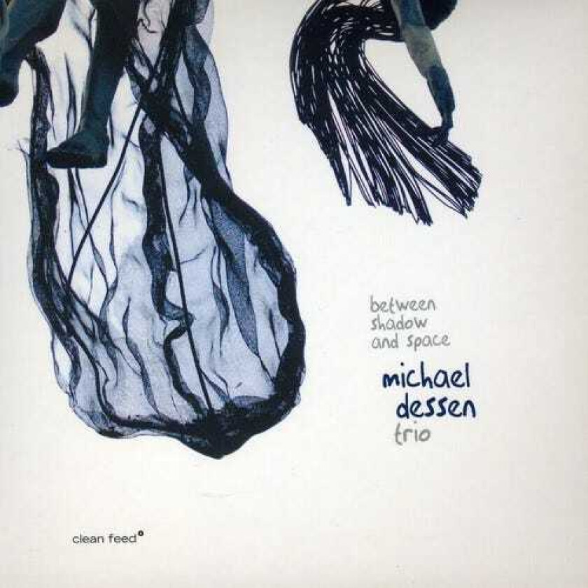 Michael Dessen Trio Between Shadow And Space CD