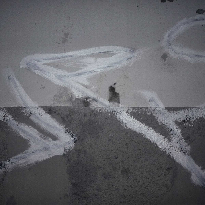Diverse Electronica In Trux We Pux 01 LP/Vinyl