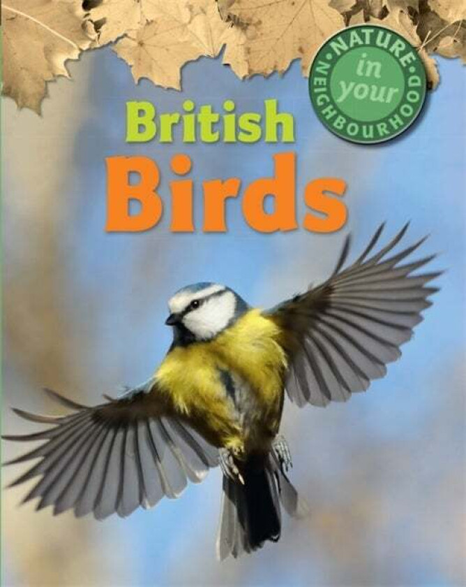 Nature in Your Neighbourhood: British Birds av Clare Collinson