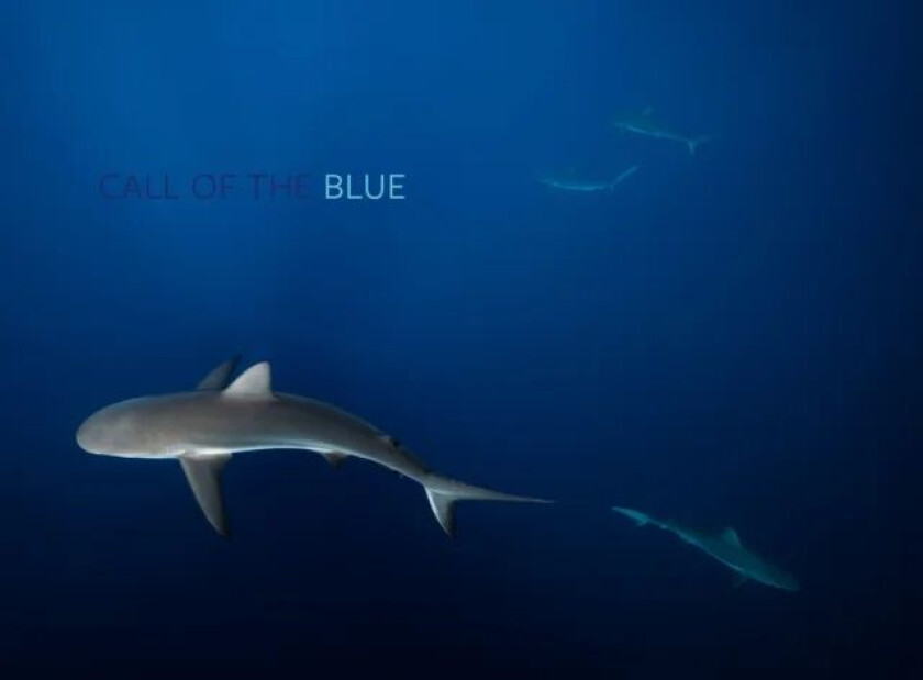 Call of the Blue av Philip Hamilton