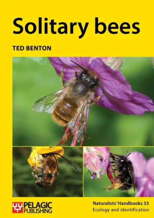 Solitary bees av Ted Benton