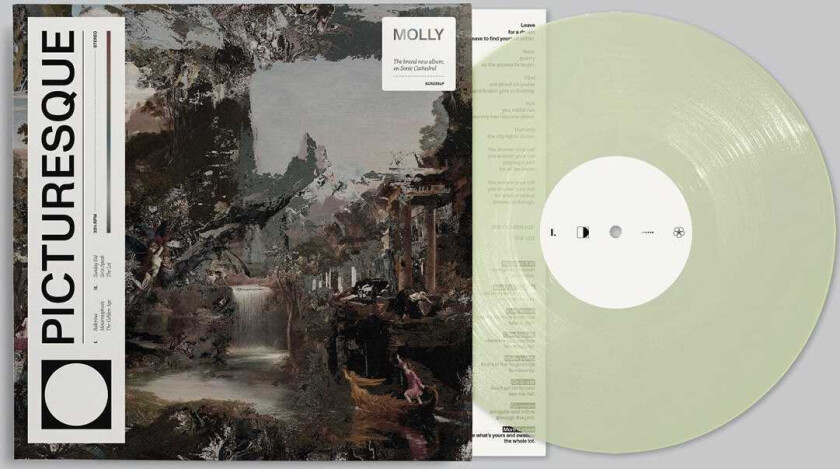 Molly Picturesque LP/Vinyl