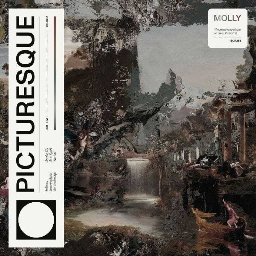 Molly Picturesque CD