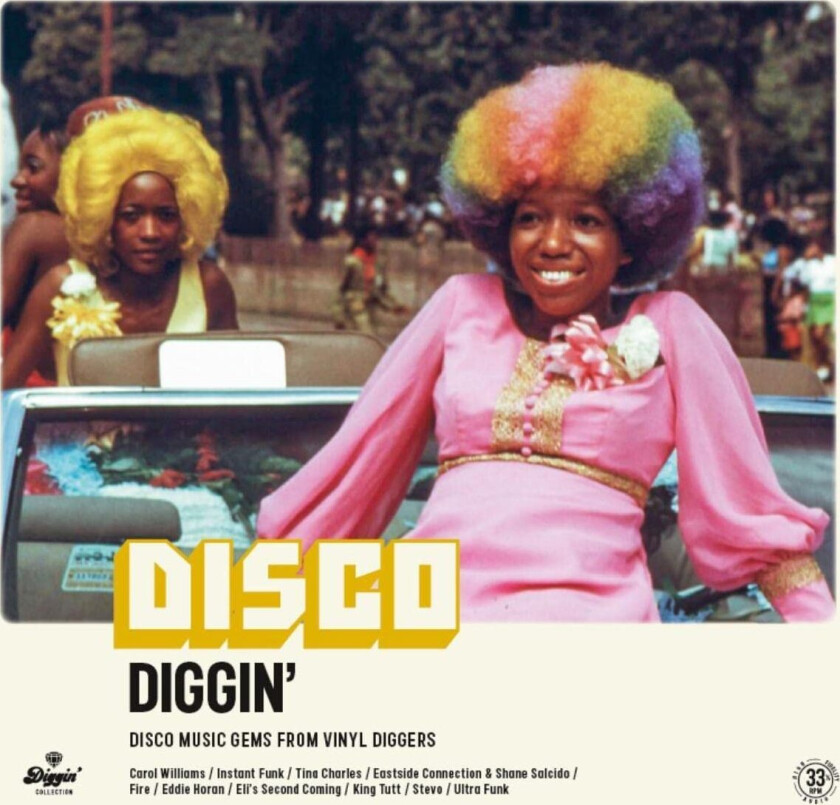 Diverse Soul Disco Diggin' LP/Vinyl