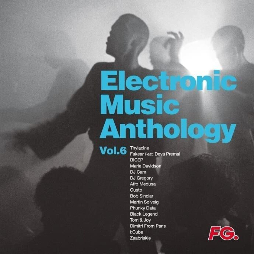 Diverse Electronica Electronic Music Anthology Vol. 6 LP/Vinyl