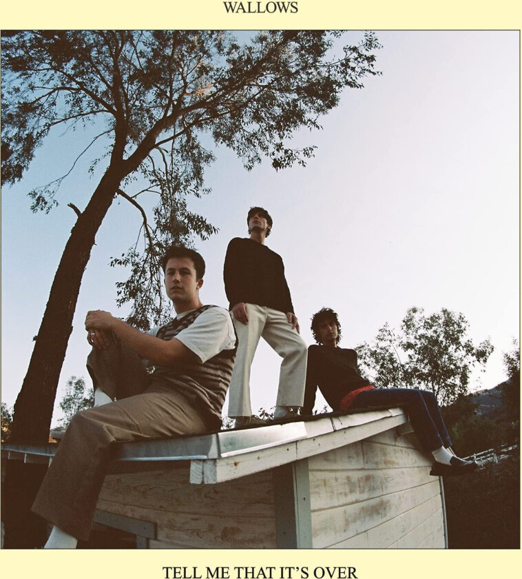 Wallows Tell Me That It's Over LP/Vinyl