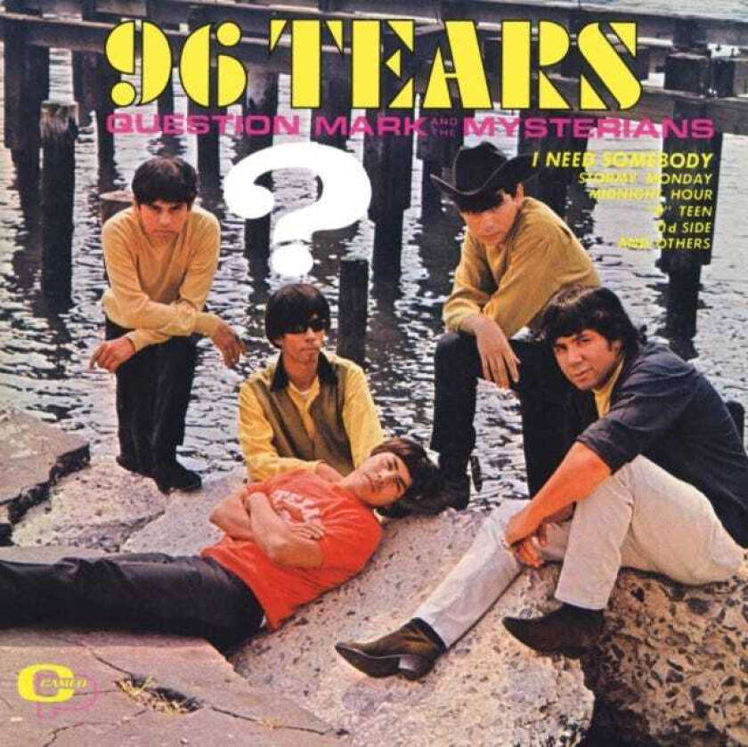 96 Tears LP/Vinyl