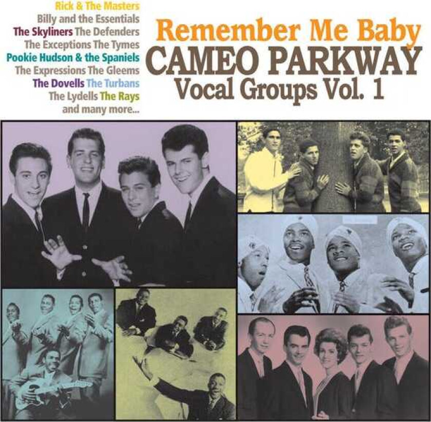 Diverse Artister Remember Me Baby:Cameo Parkway Vocal Groups CD