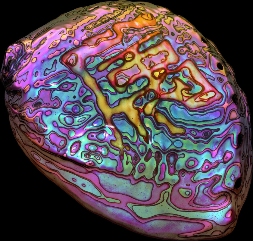 Ian Chang Belonging CD