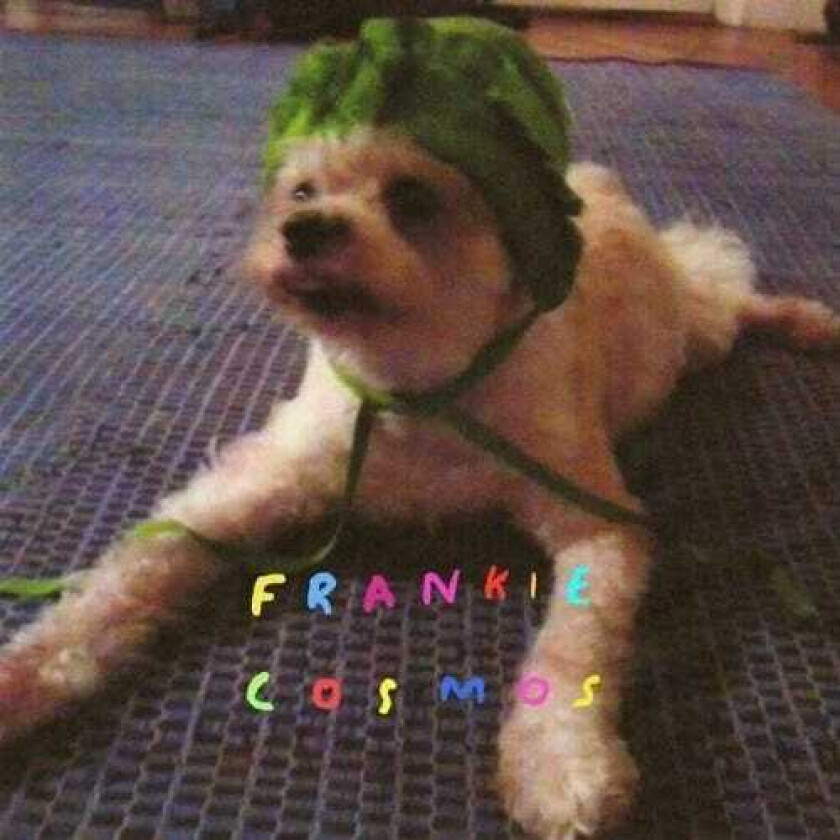 Frankie Cosmos Zentropy LP/Vinyl
