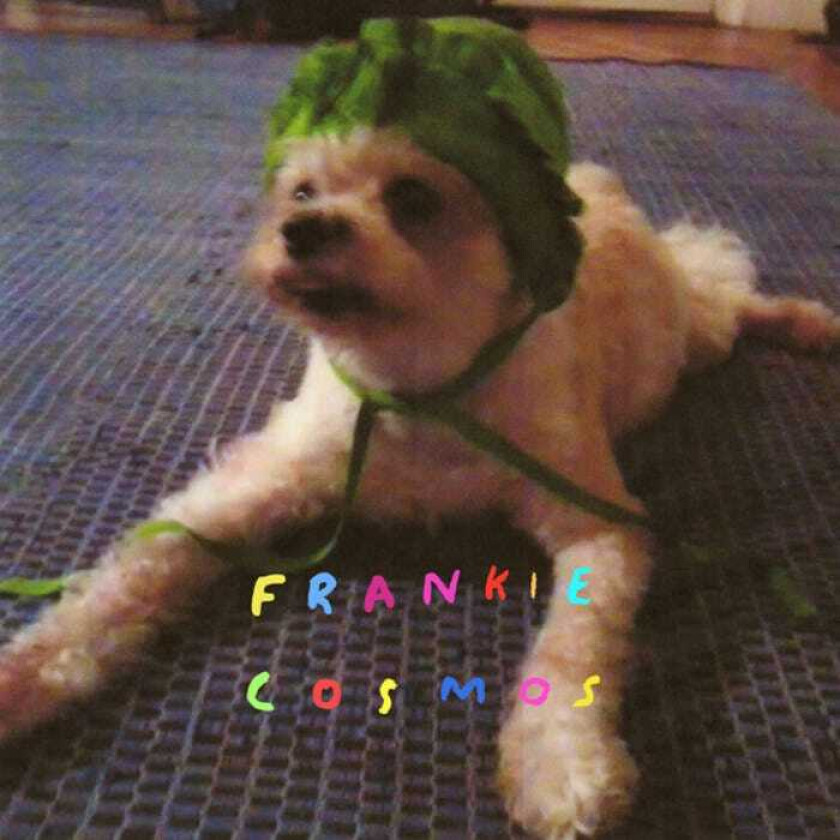 Frankie Cosmos  Zentropy  CD