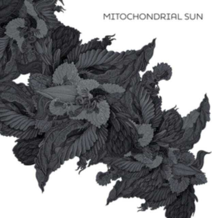 Mitochondrial Sun Mitochondrial Sun LP/Vinyl