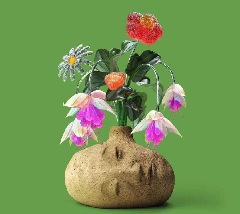 Elephant Gym Dreams CD