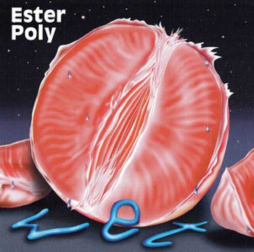 Ester Poly Wet LP/Vinyl
