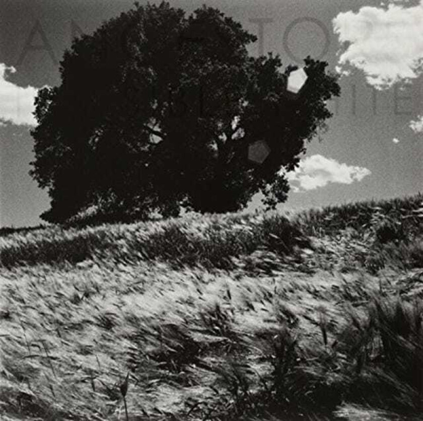 Ancestors Invisible White LP/Vinyl