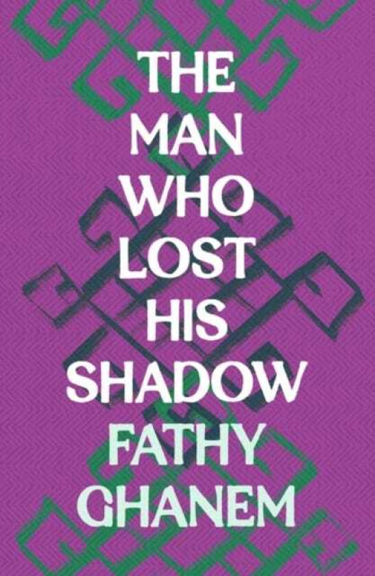 The Man Who Lost His Shadow