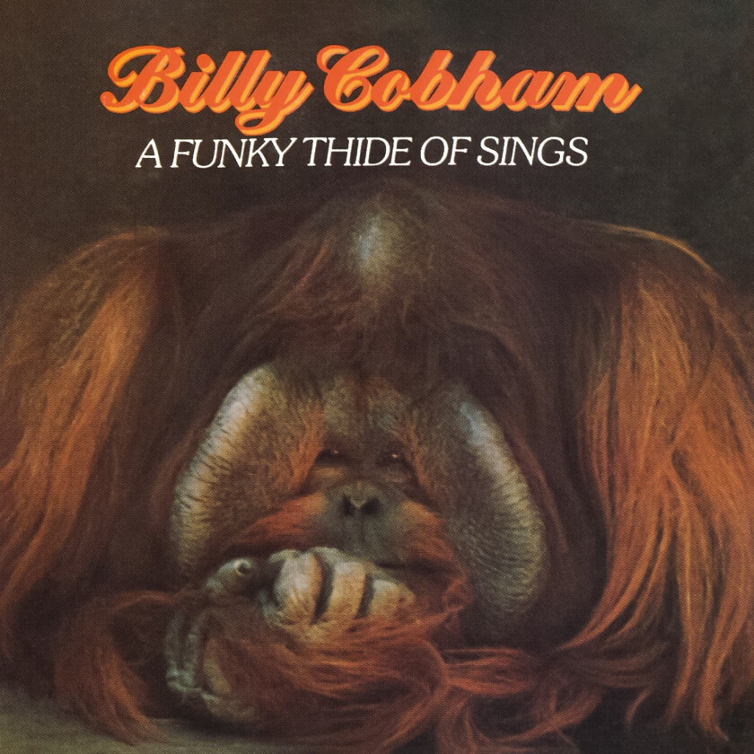 Billy Cobham  A Funky Thide Of Sings  CD