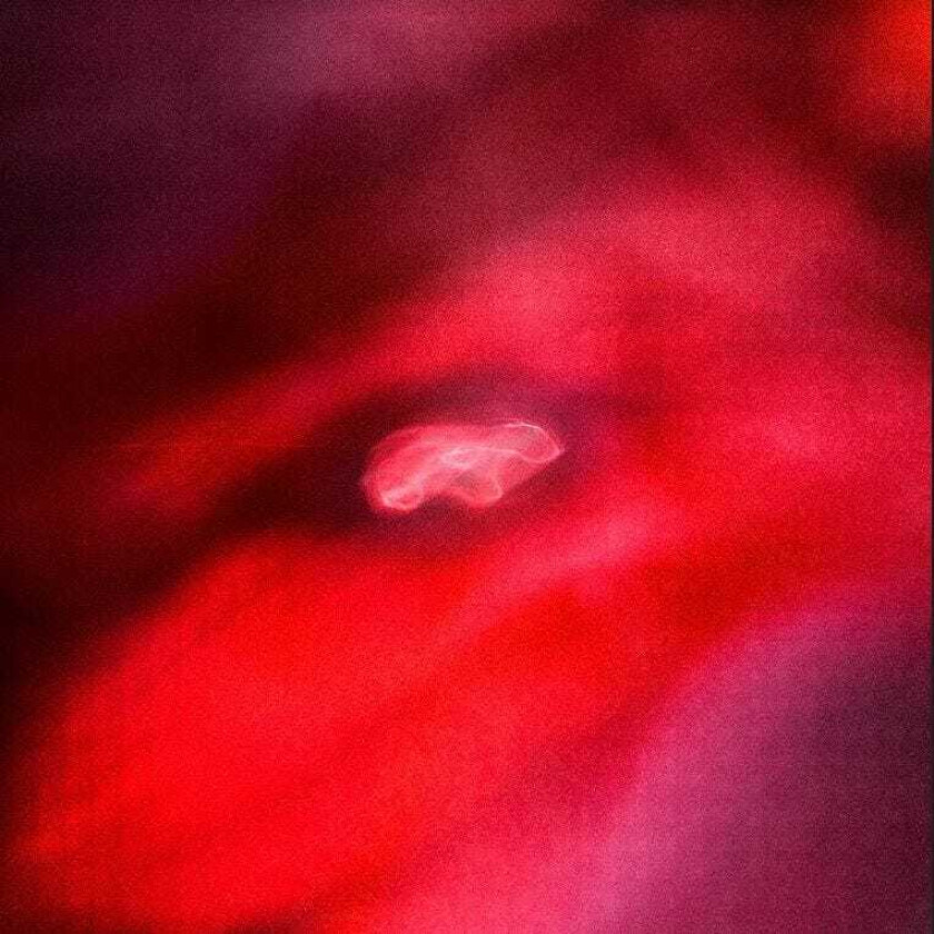 Saffronkeira, Siavash Amini The Faded Orbit CD