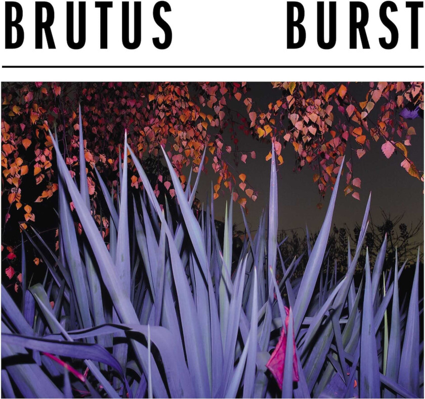 Brutus (Belgia) Burst CD