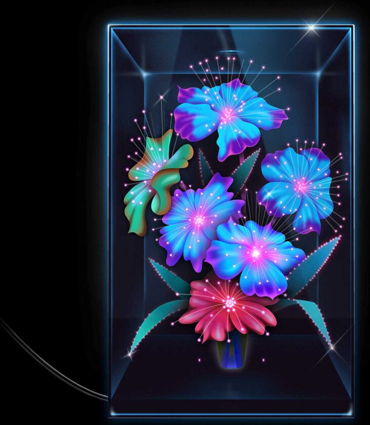 Xenia Rubinos Una Rosa LP/Vinyl