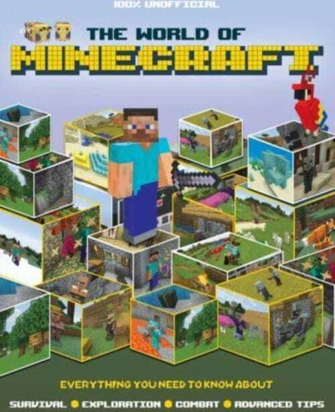 The World of Minecraft