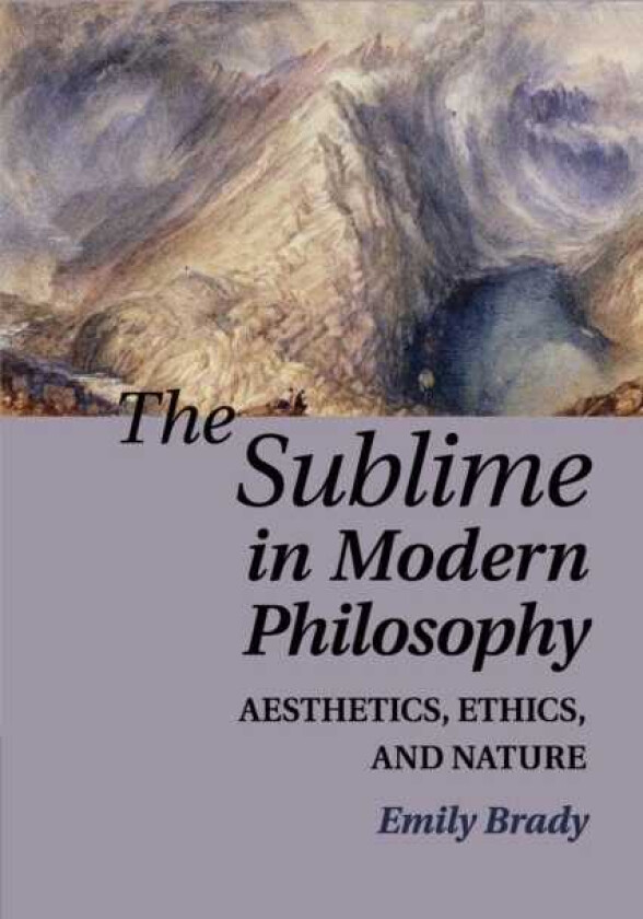 The Sublime in Modern Philosophy Aesthetics, Ethics, and Nature