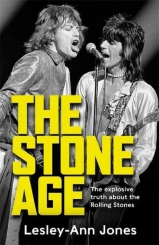 The Stone Age av Lesley-Ann Jones
