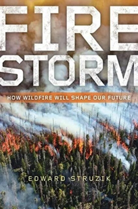 Firestorm av Edward Struzik