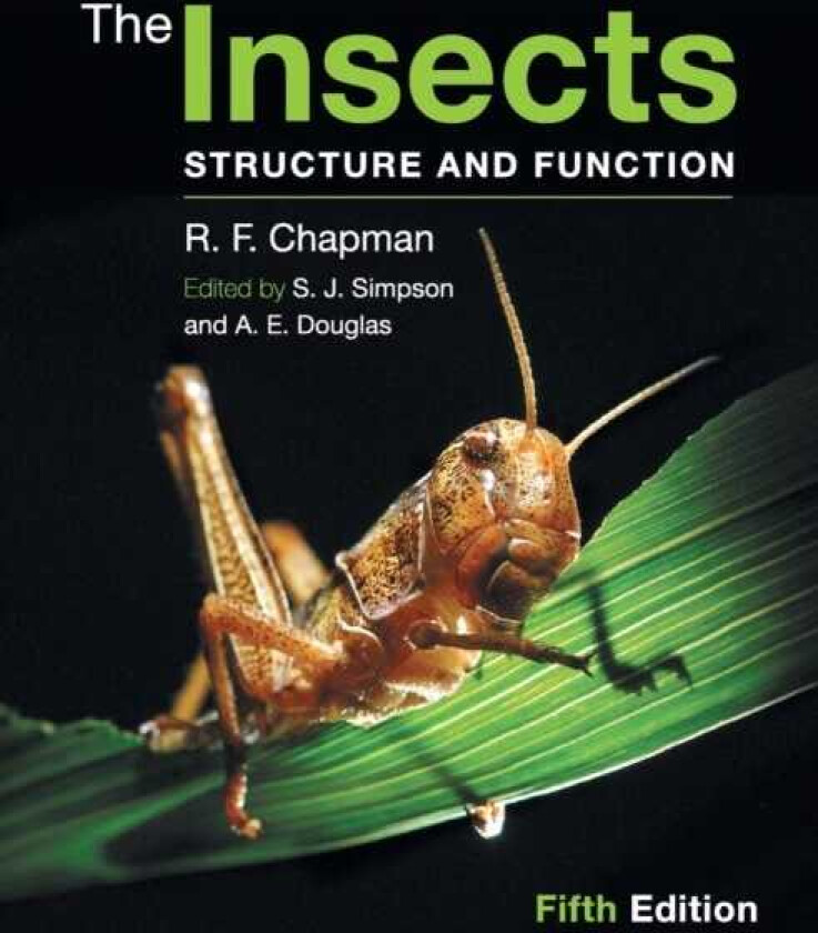 The Insects Structure and Function