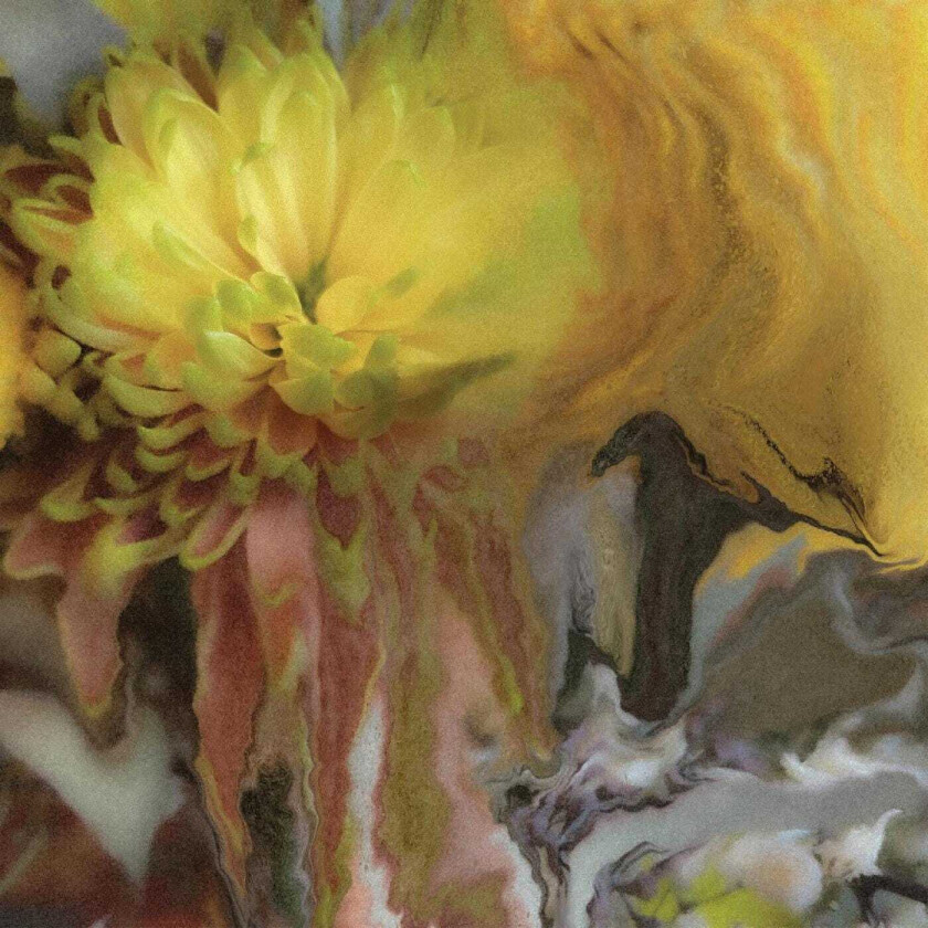 Parker Millsap Wilderness Within You CD