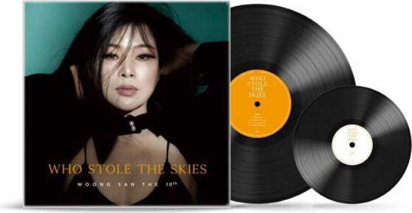 Woong San Who Stole The Skies LP/Vinyl