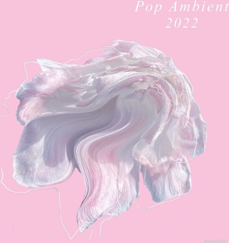 Diverse Electronica Pop Ambient 2022 LP/Vinyl