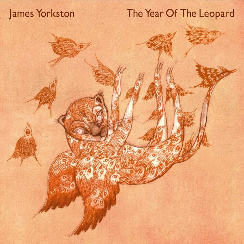 James Yorkston The Year Of The Leopard LP/Vinyl