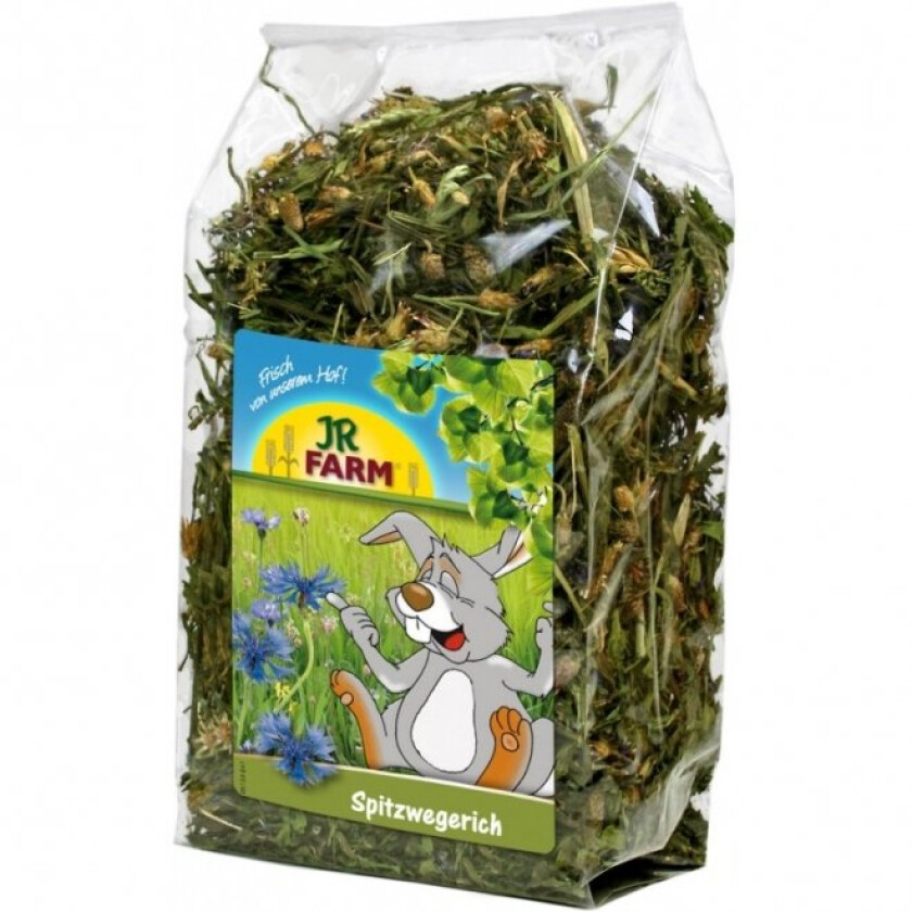 Bilde av JR Farm Groblad 100 g
