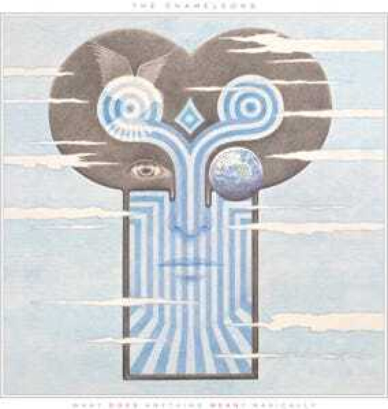 The Chameleons What Does Anything Mean? Basically LP/Vinyl