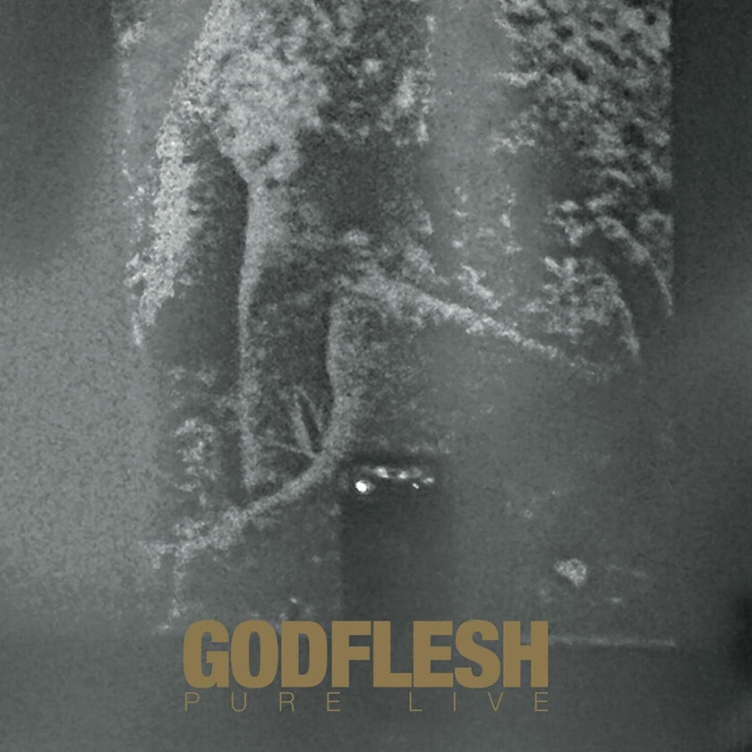 Godflesh Pure LP/Vinyl